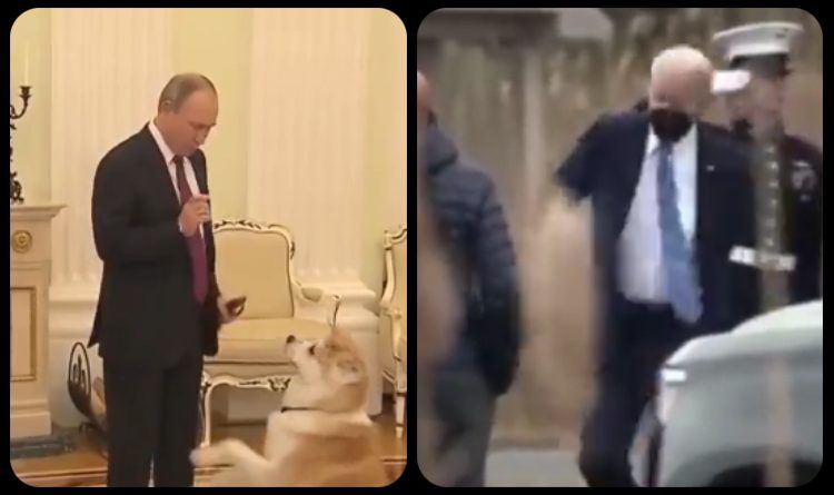 Hilarious Video Of Biden And Putin With Their Dogs – One Of Them Is Getting Totally Embarrassed By His Pet
