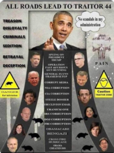 ObamaTraitor