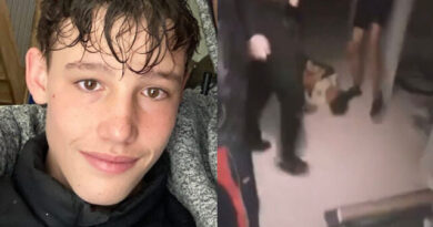 African Migrant Gang Beats French Teen Louis to Death — Video Uploaded by Attackers, 0 Coverage from CNN, NBC, ABC, Reuters, The Guardian, AP, WaPo, NYT, MSNBC, NPR (Video)