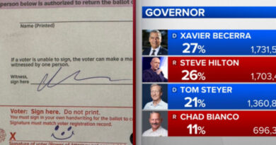 “Frame This For Future Generations: This California Ballot “Counted As a Vote” — A Perfect Exhibit for the Museum of Clown World”