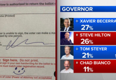“Frame This For Future Generations: This California Ballot “Counted As a Vote” — A Perfect Exhibit for the Museum of Clown World”
